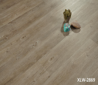 XLW-2869
